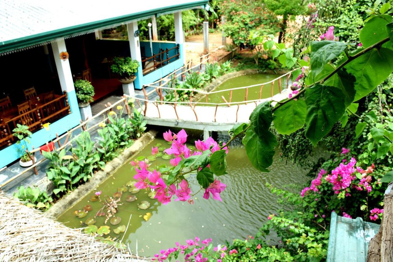 Hungry Lion Resort Sigiriya Exterior photo