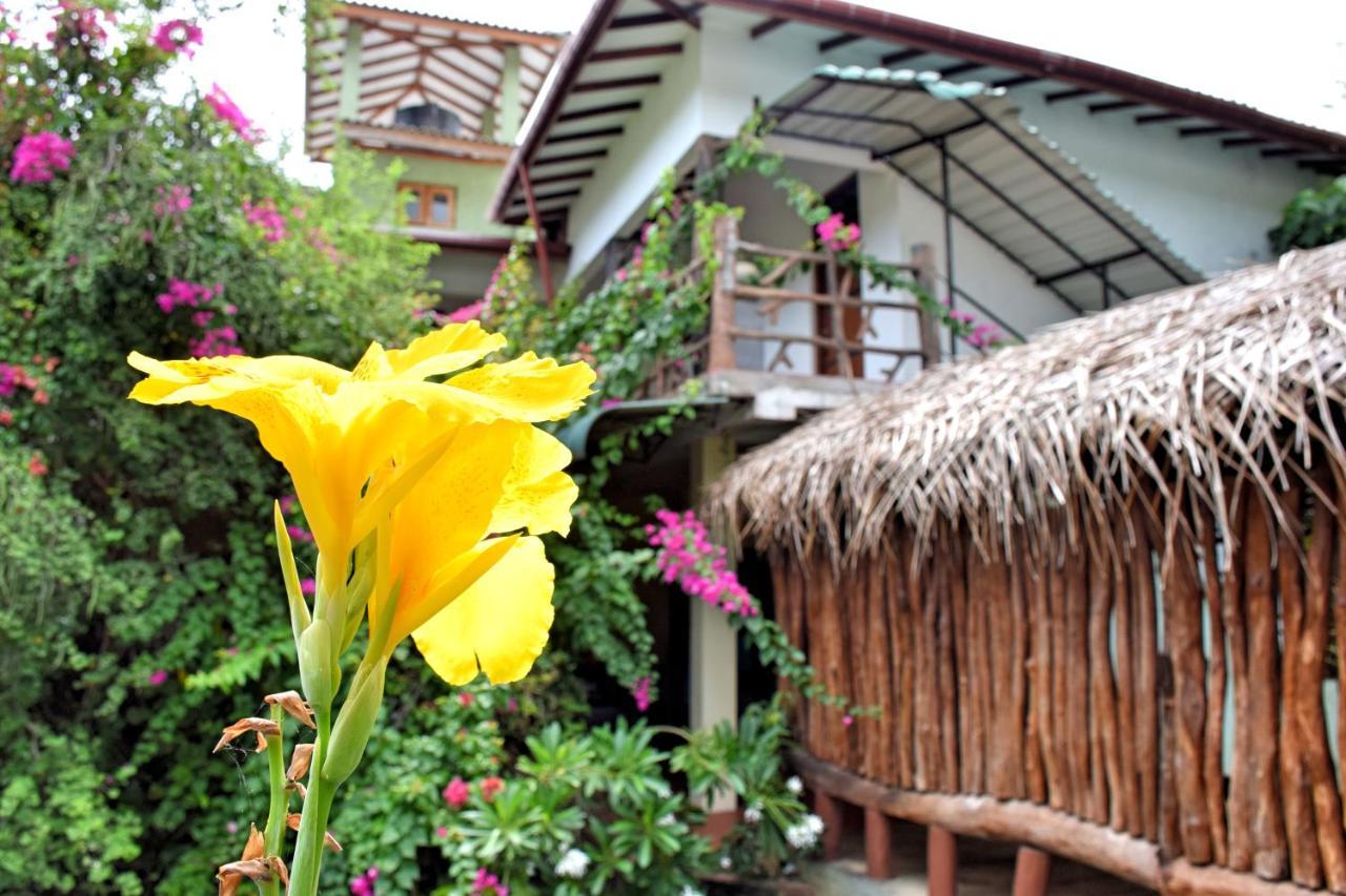 Hungry Lion Resort Sigiriya Exterior photo