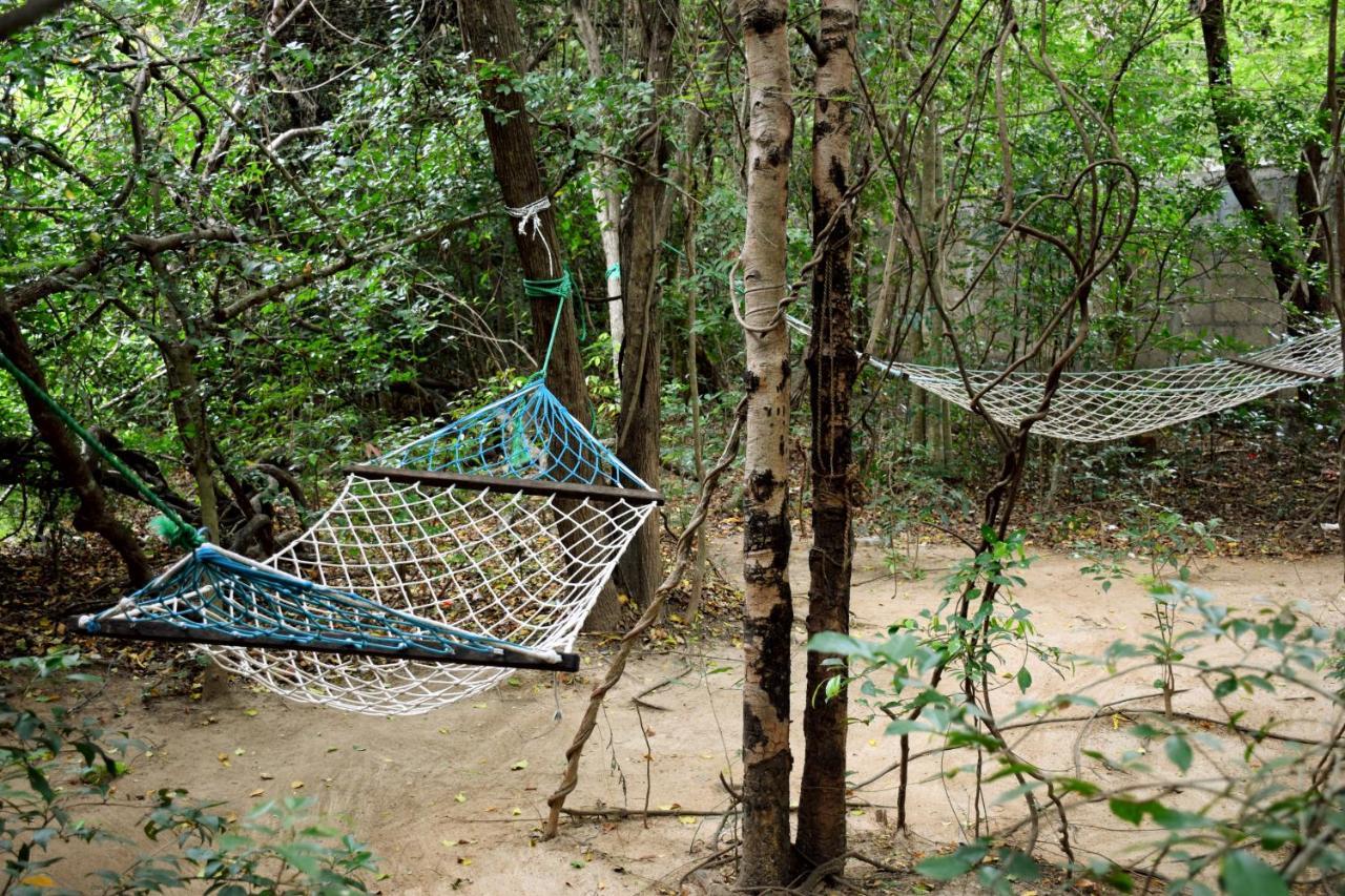 Hungry Lion Resort Sigiriya Exterior photo