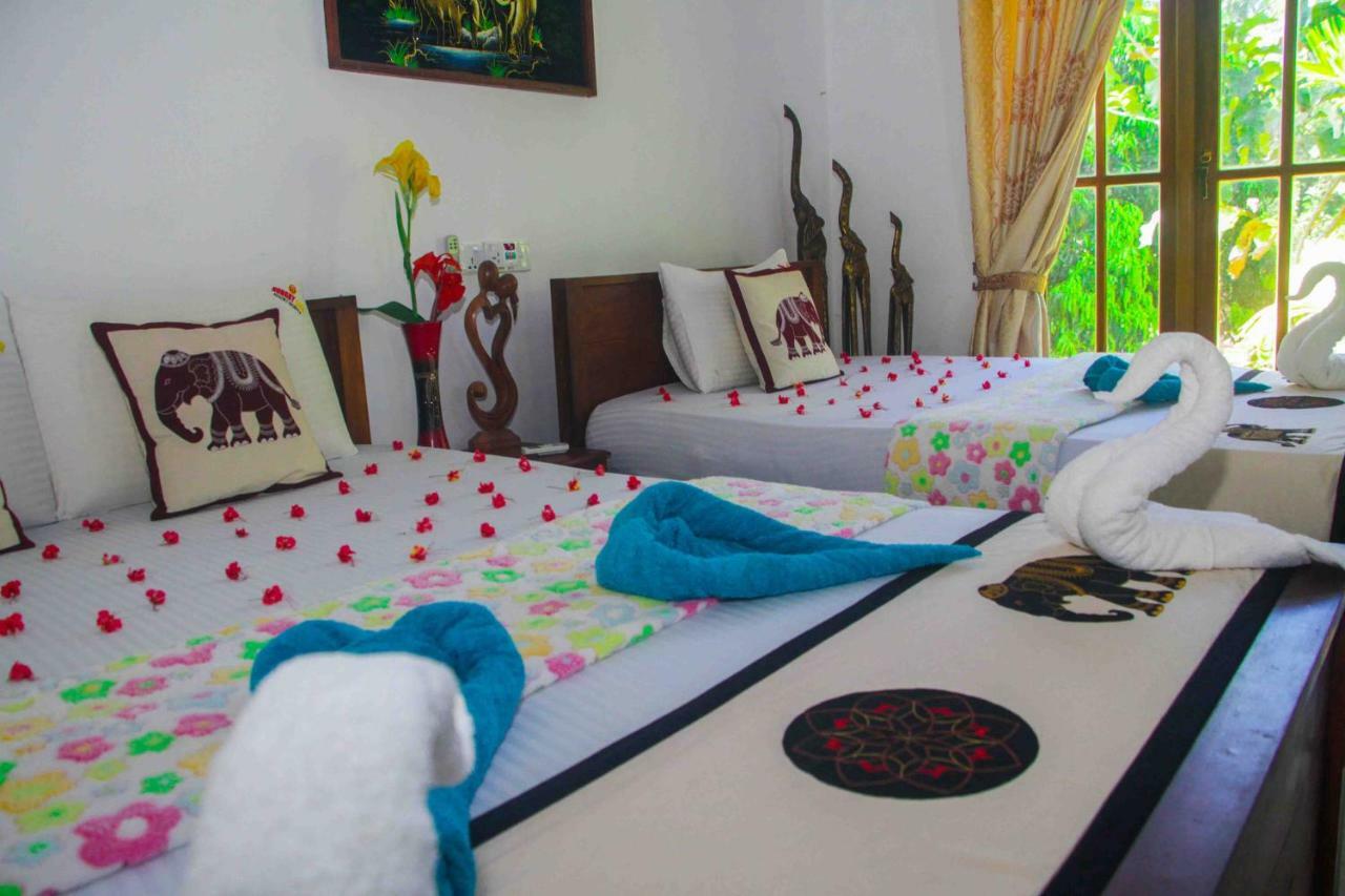 Hungry Lion Resort Sigiriya Exterior photo