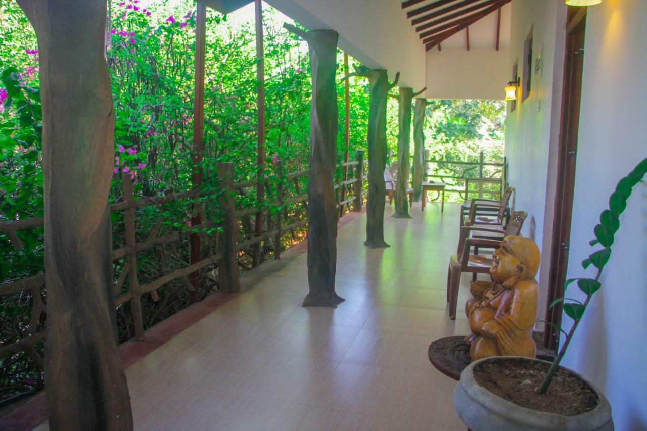 Hungry Lion Resort Sigiriya Exterior photo